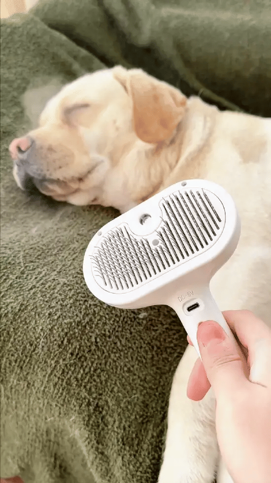 Klippla Steam Brush™
